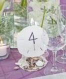 Sand Dollar Table Numbers