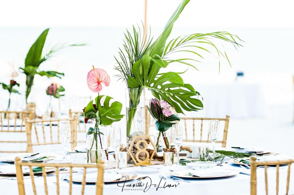 South Florida Beach Wedding packages