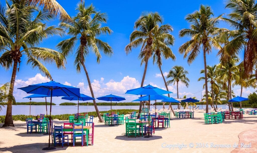 You are currently viewing Top 12 Rehearsal Dinner Options for the Upper Keys
