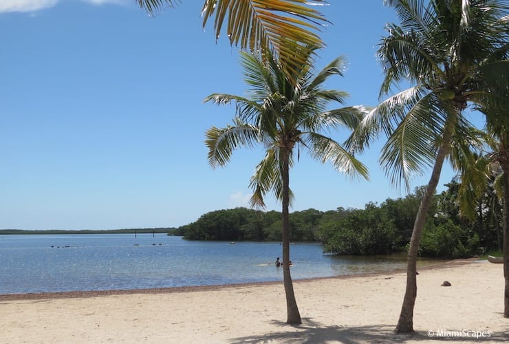 john-pennekamp-state-park-beach
