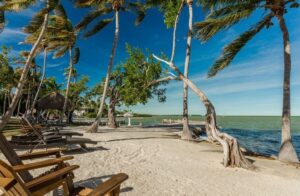 La Jolla Resort Islamorada Wedding Venue